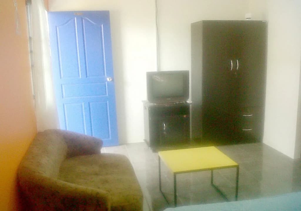 PS 35 Apartment - photo 5