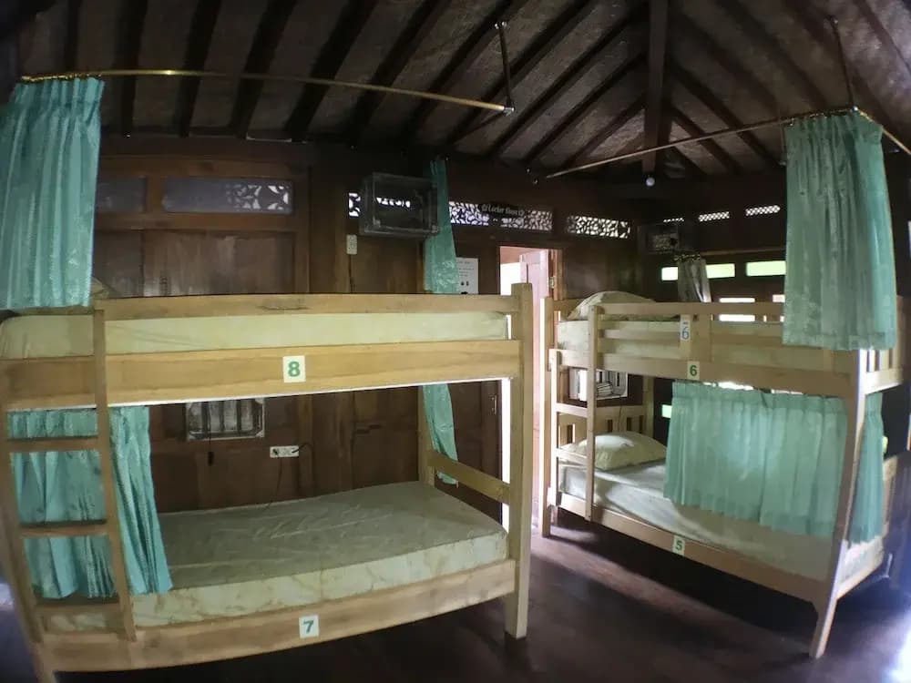 Green Paddy Hostel - photo 4