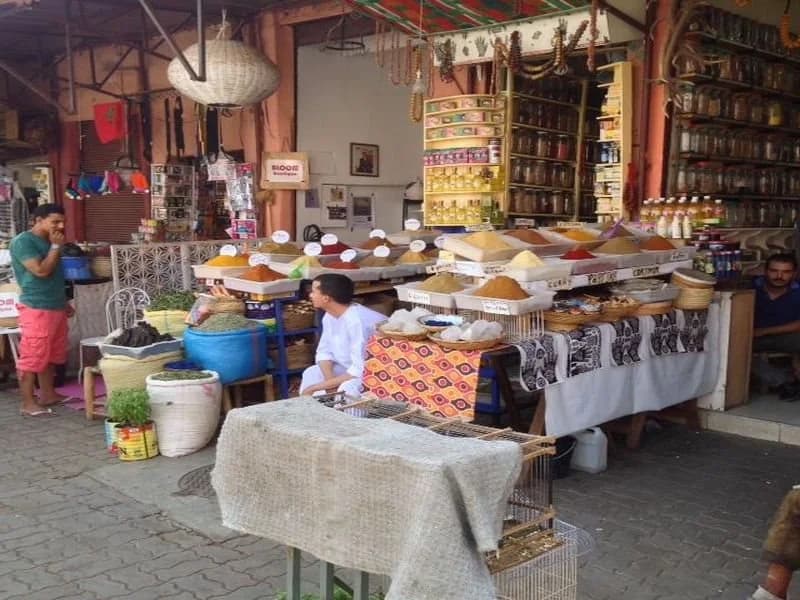 Riad Al Idrisi - photo 11