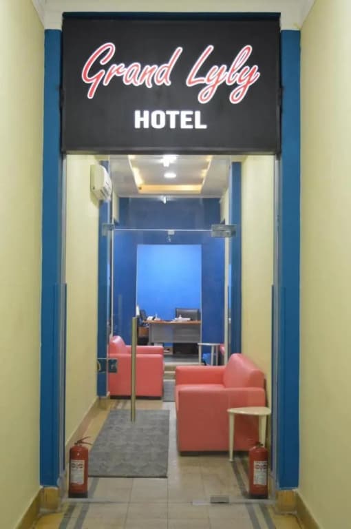 Grand Lyly Hotel - photo 14
