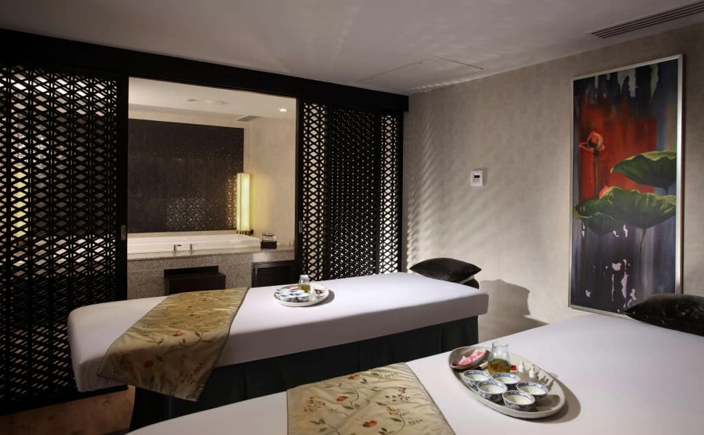 Radisson Blu Plaza Delhi Airport - photo 4