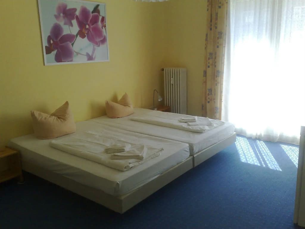 Hotel Pension Gribnitz - photo 2