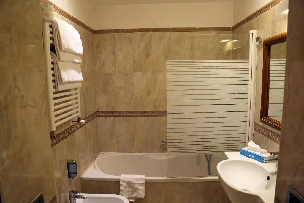 Hotel Borromeo - photo 9