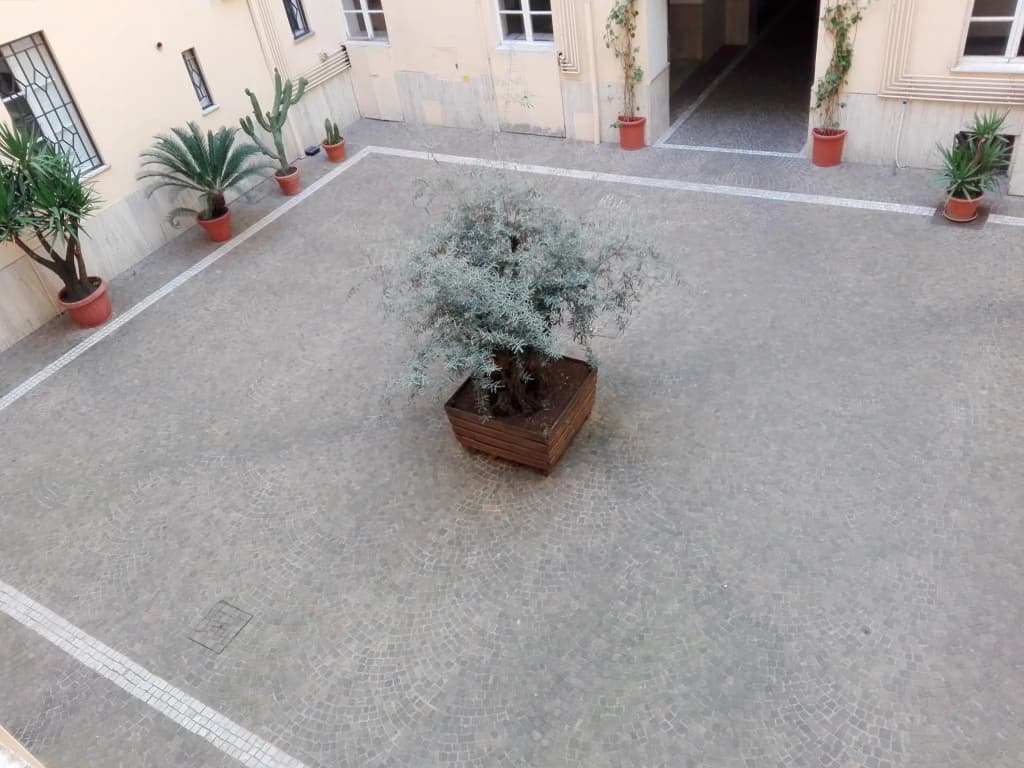 Laterano White Home - Colosseo - photo 4