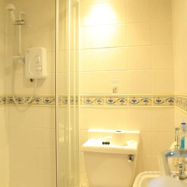 Twin Lions Hotel - photo 46