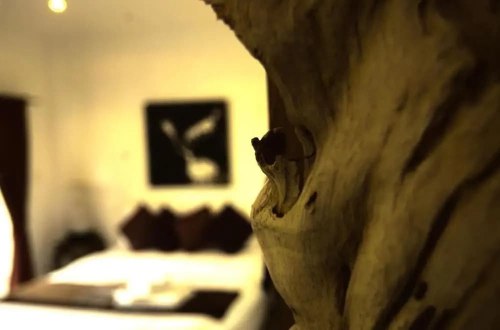 Cocooning Hotel - photo 10