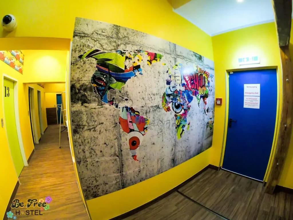 Be Free Hostel - photo 11