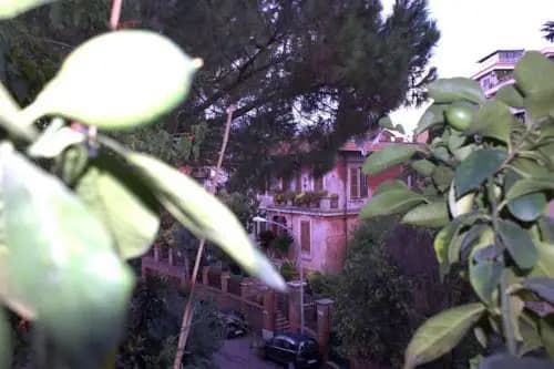 Città Giardino Suite - main photo