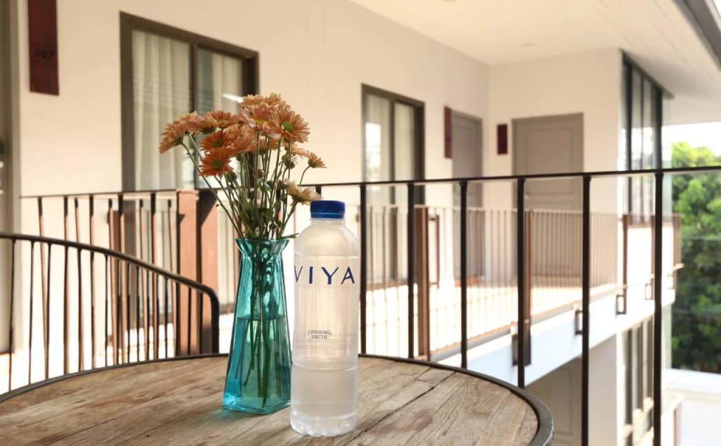 VIYA Lodge - photo 11