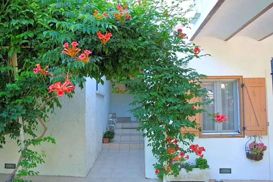 Villa Bellab - photo 8