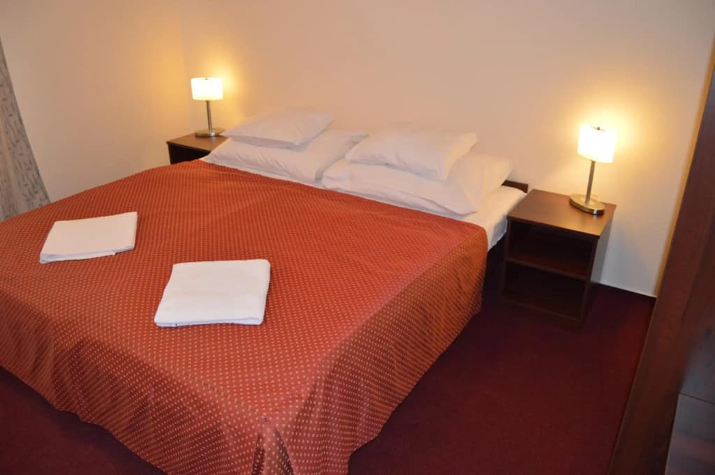 Hotel Aréna - photo 4