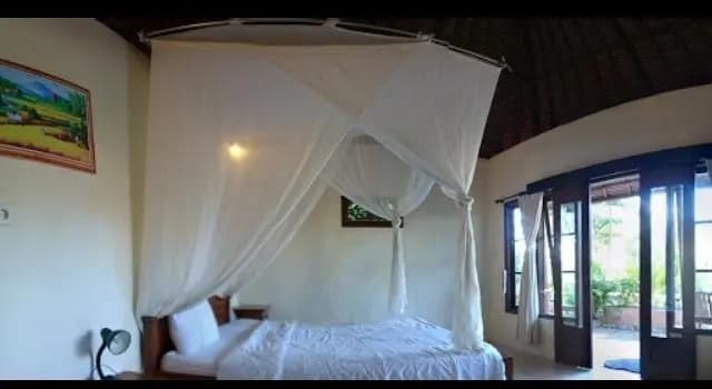 Romeo Beachfront Bungalow - photo 2