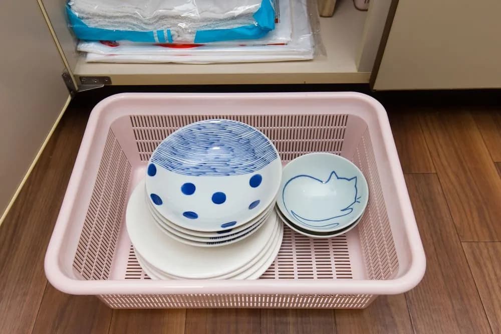 Gojo umeka - photo 10