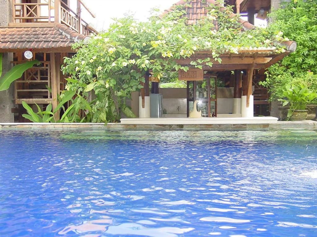 Putu Bali Villa and Spa - photo 8