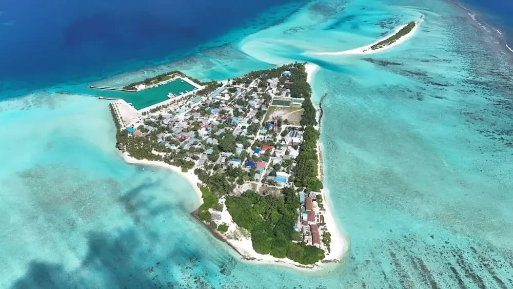 Eco Palm Maldives - photo 9