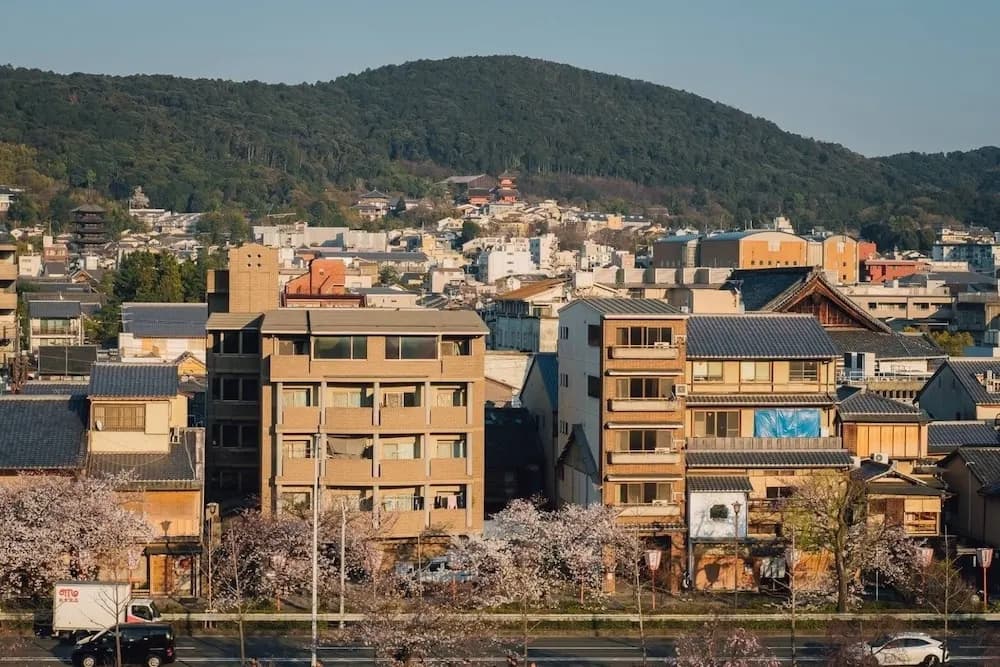 Guesthouse Hanasaki - photo 12