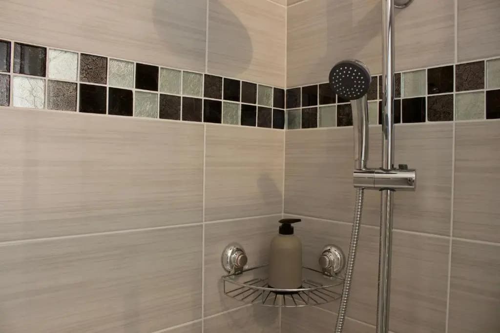 Appartements les Lions - photo 9