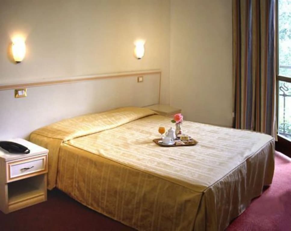 Hotel Adler - photo 2