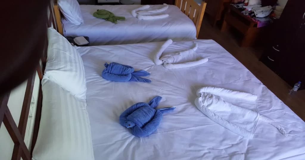Madivaru Kro Hotel - photo 7