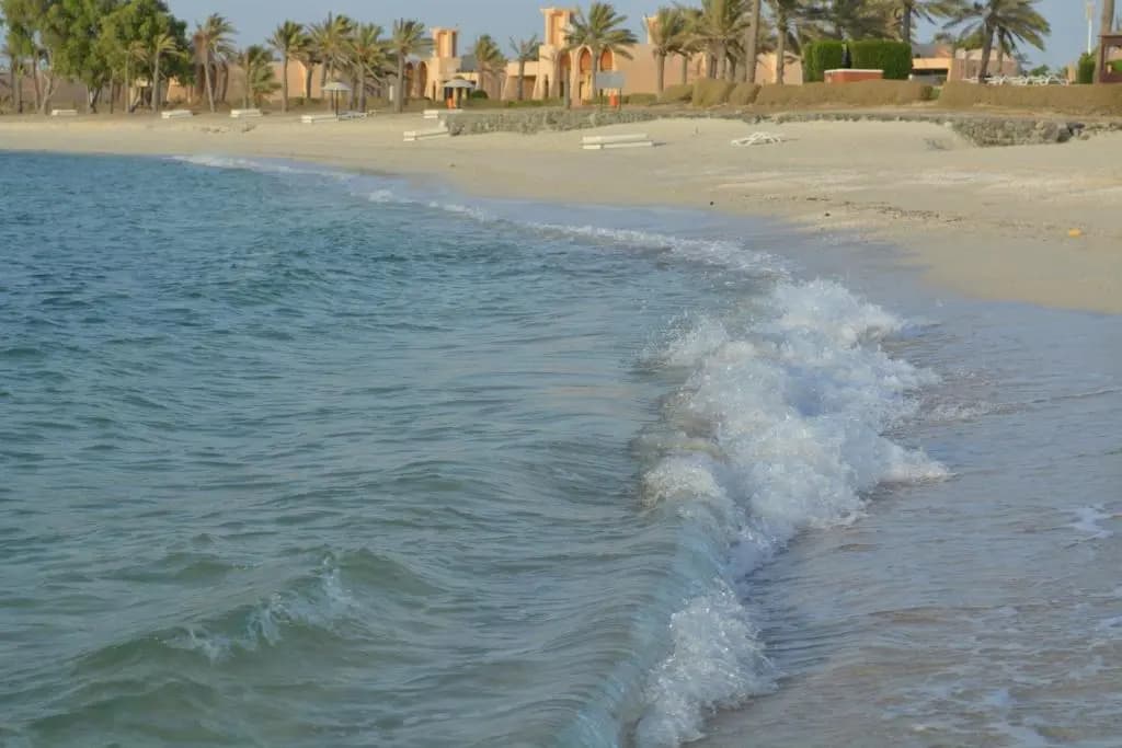 Al Jazira Hotel and Resort - photo 13