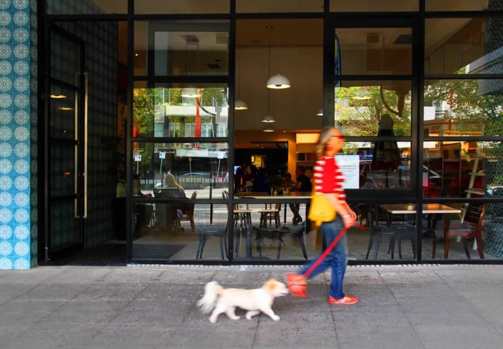 Novotel St Kilda - photo 24