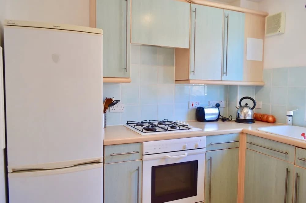 Modern Two Bedroom Flat in Leith - photo 9