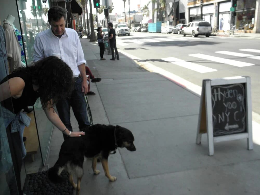 Abbot Kinney Apartment - photo 15