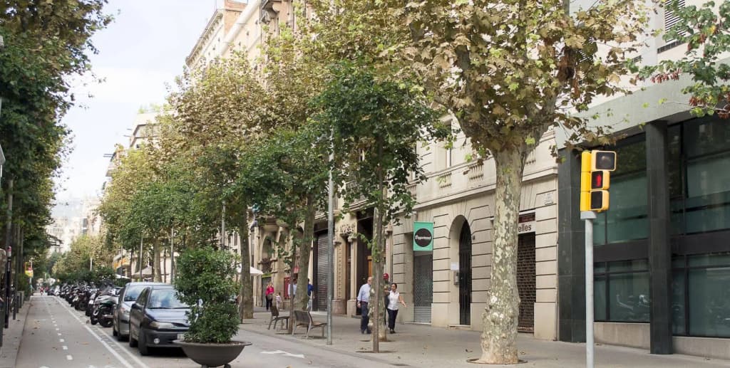 LeMar Boutique Barcelona Hotel - photo 13