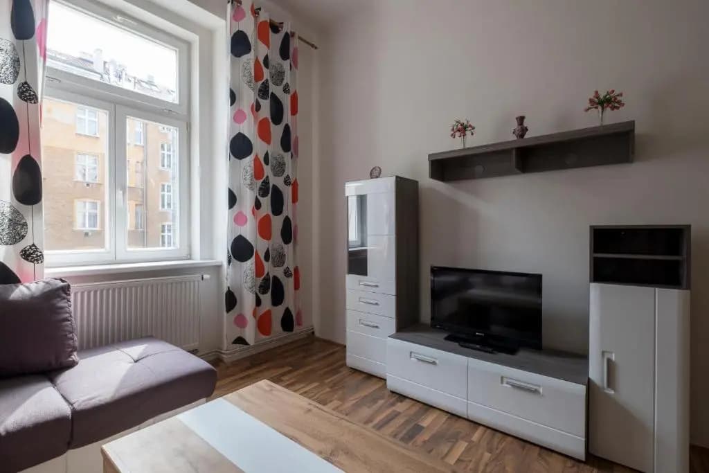Downtown Apartments Prague - photo 4