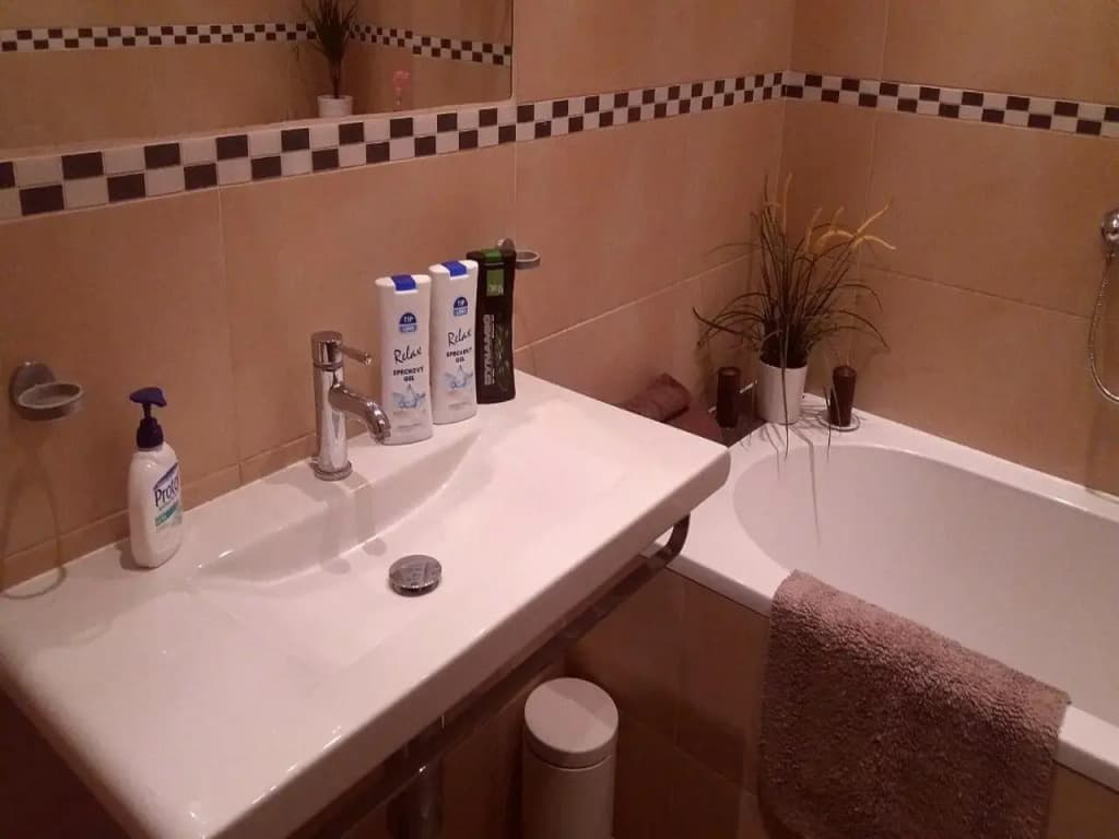 Spacious 3BDR Wenceslas Square - photo 1