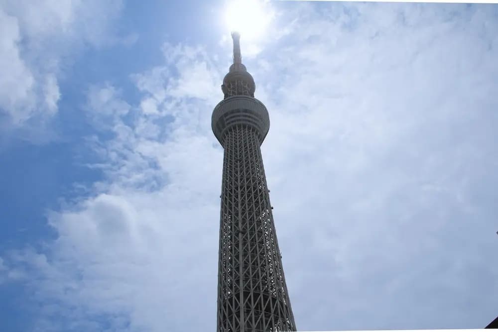 The Bonds Hotel Tokyo - photo 8
