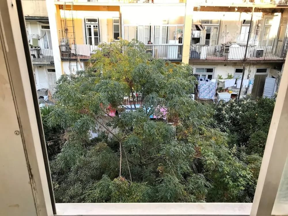 Gonçalves Crespo Rooms - main photo