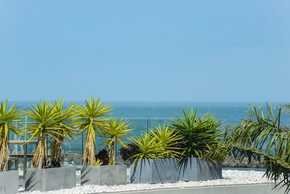 Boutique Stays - Hampton Lookout - photo 9
