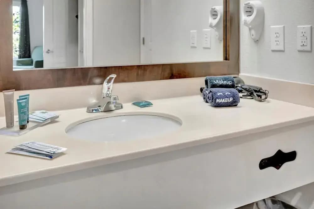 8303 Palm Disney - photo 9