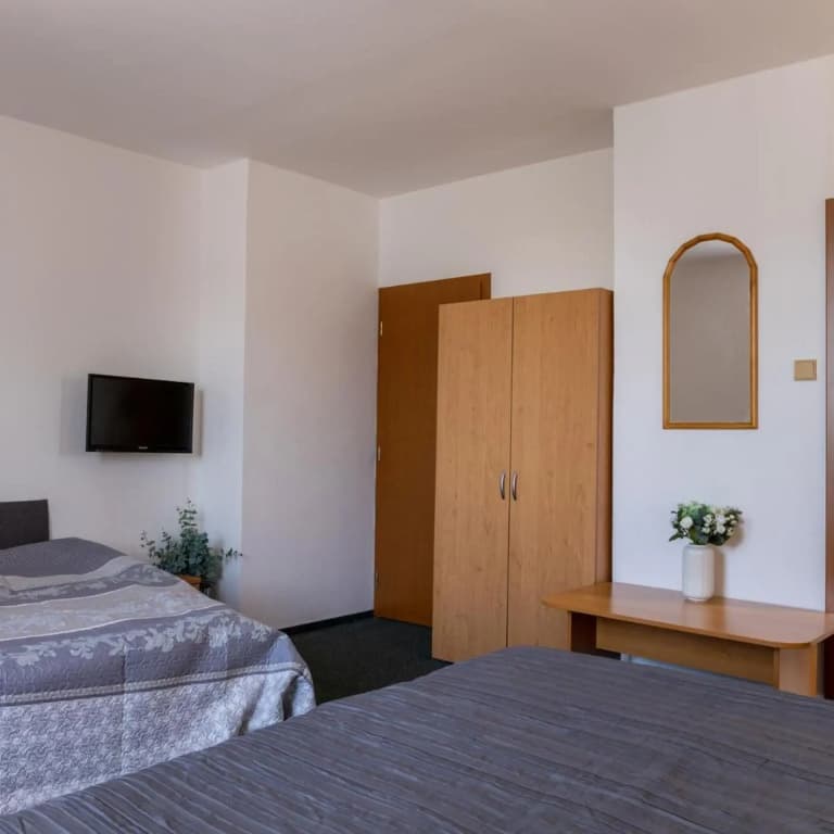 Hotel Kanarek - photo 6