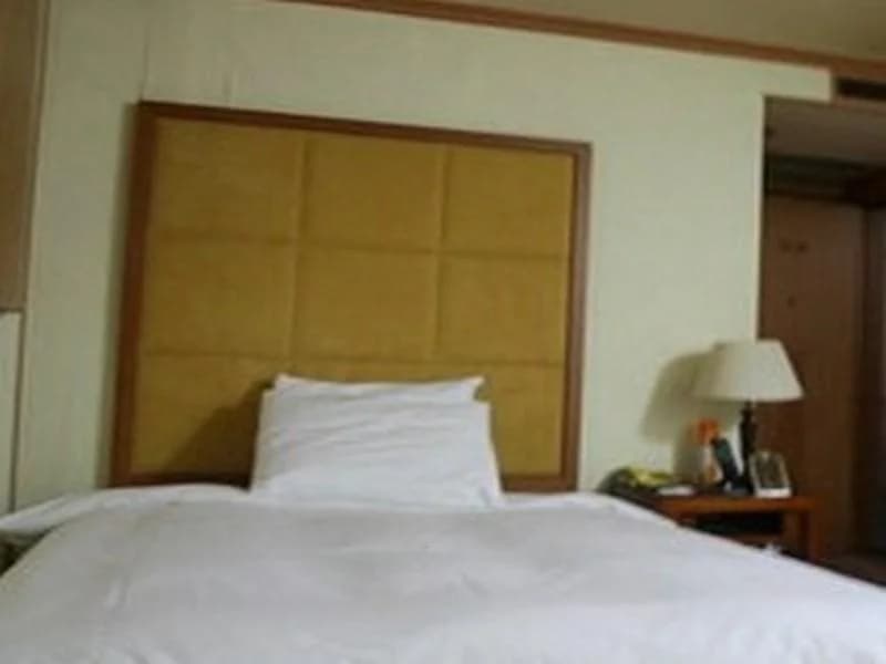 New Regent Hotel(뉴 리젠트 호텔) - photo 25