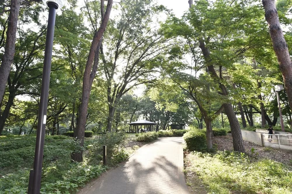 West Kumegawa - photo 10