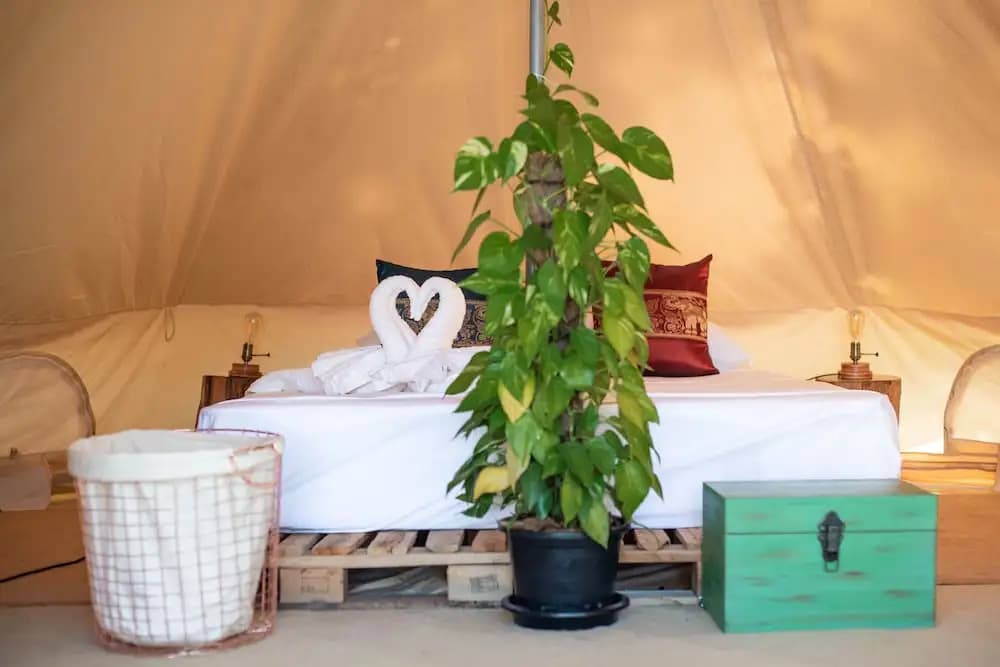 Roost Glamping - photo 20