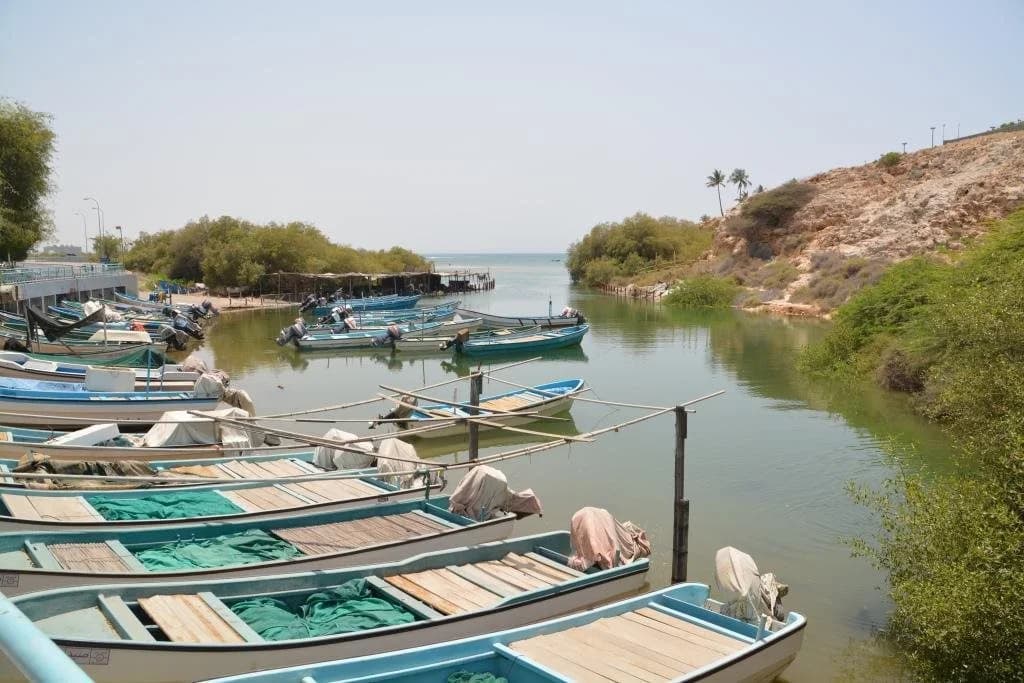 Qurum Beach Hotel - photo 10