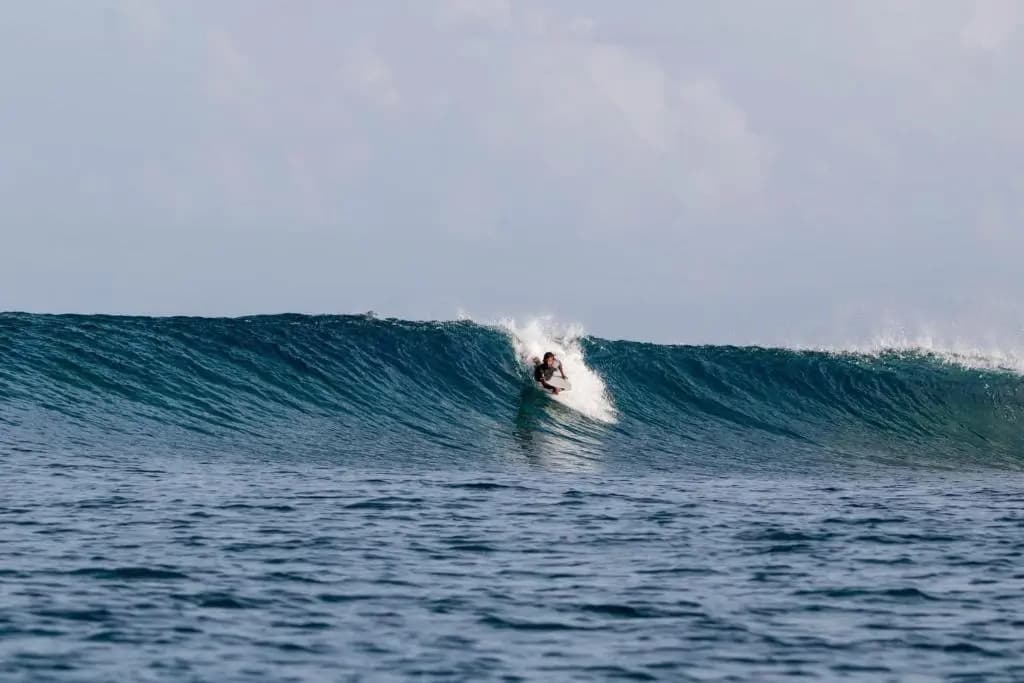 Long Beach Laamu - photo 41