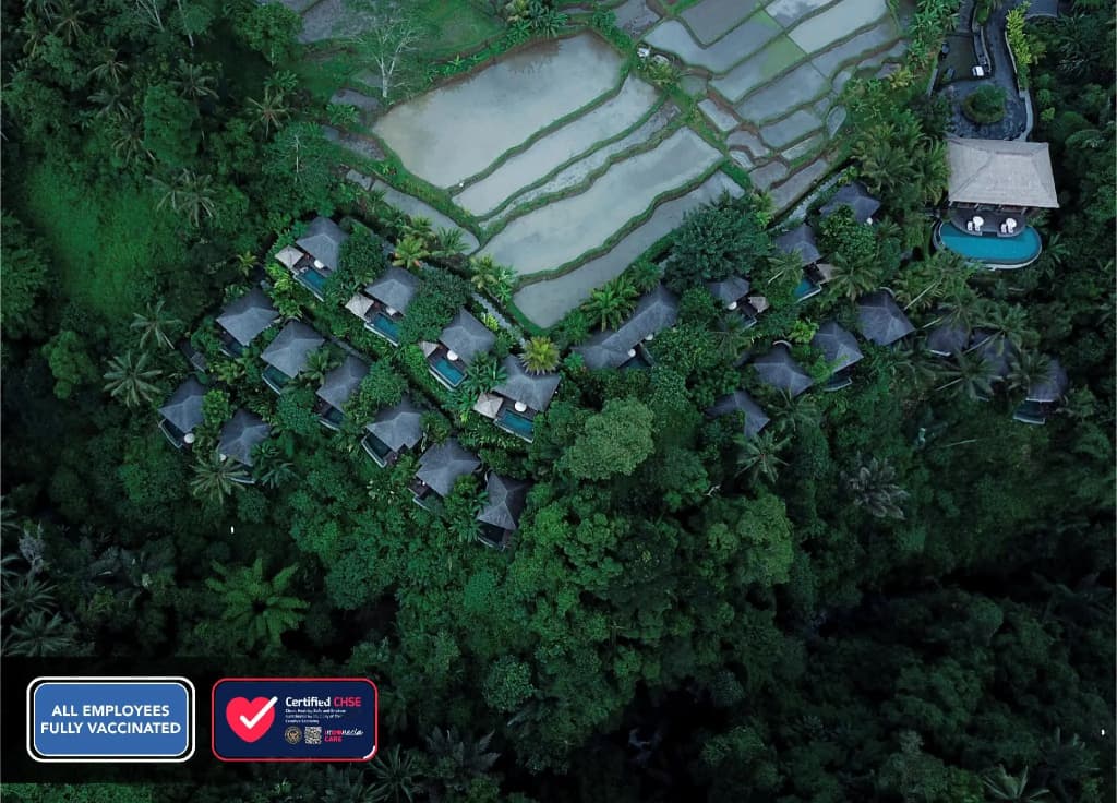Natya Resort Ubud - photo 13