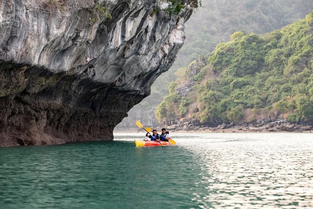 Stellar of the Seas - photo 21