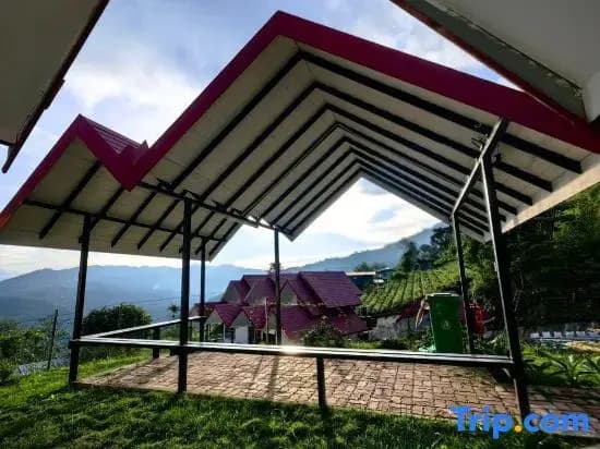 Kundasang Mount Garden - photo 3