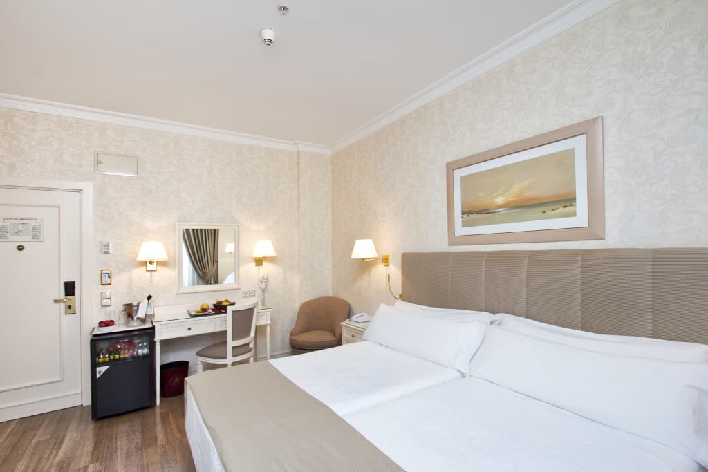 Hotel Atlantico Madrid - photo 3