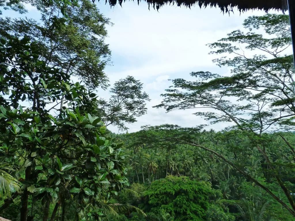 Green Spirit Villa - photo 12