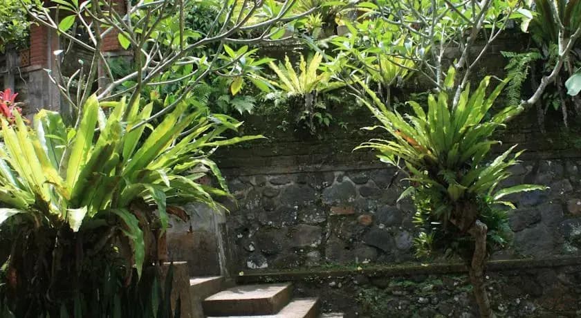 Pager Bungalow's - photo 8