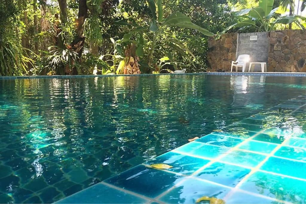 Fern House Retreat - photo 9