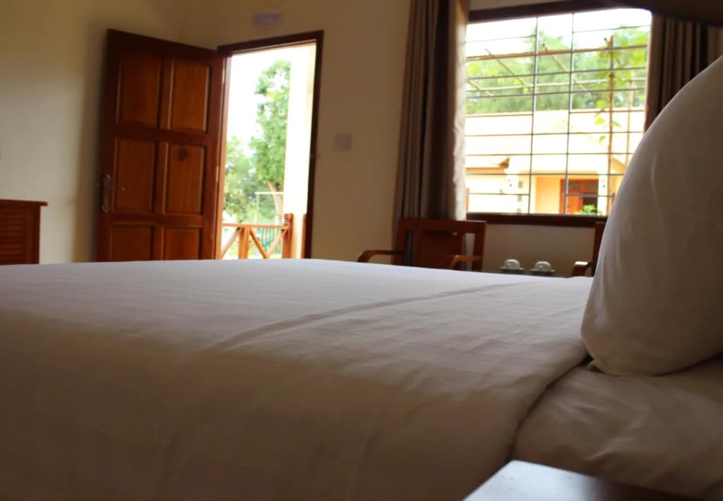 Spring Garden Homestay - photo 2