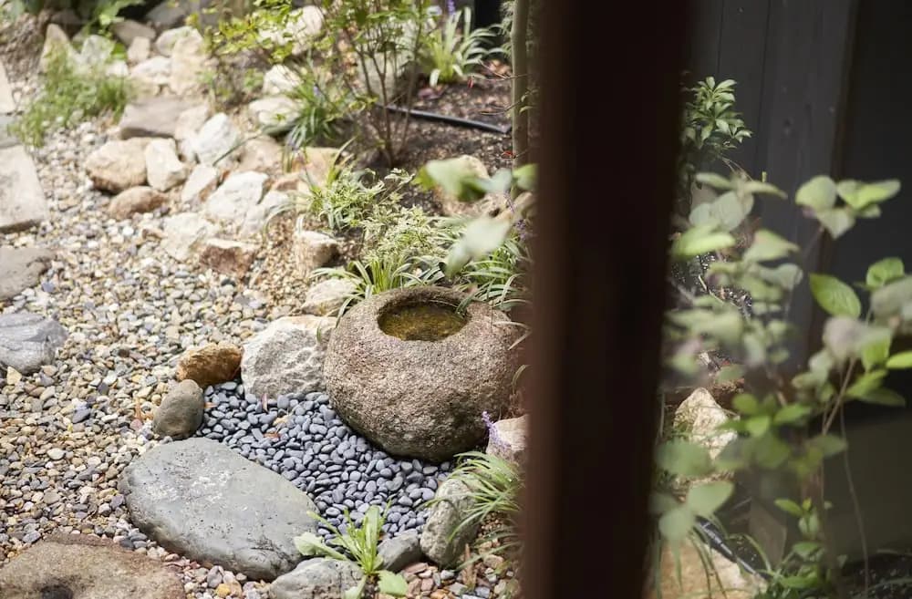 Zen - photo 38