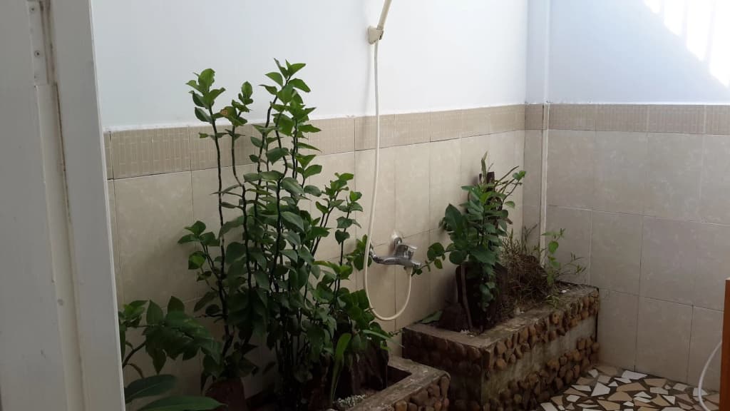 Bamboo Cottages - photo 13